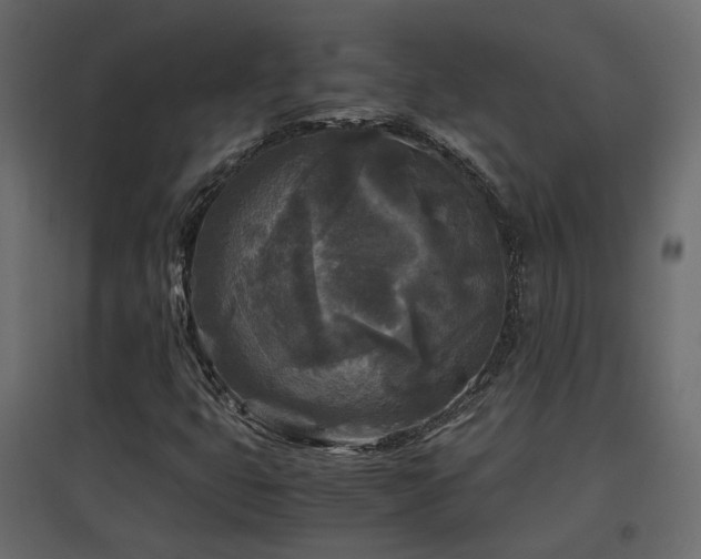 X0000097761399200803071244