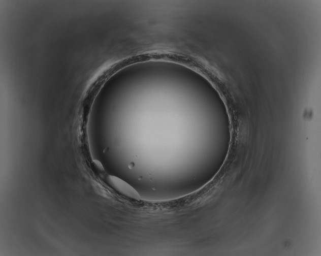 X0000097761400200803071244