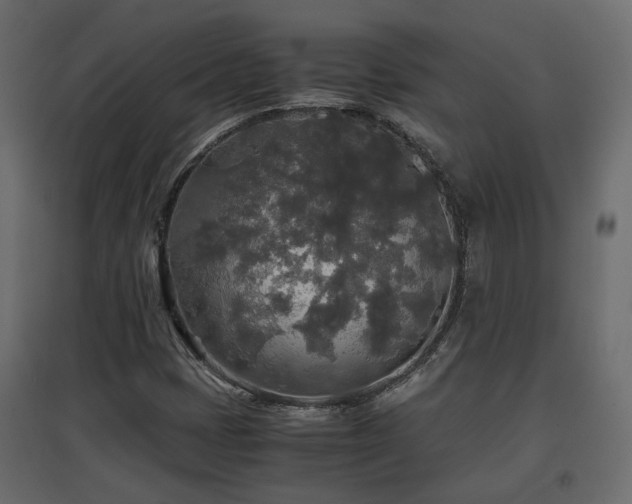 X0000097761401200803071244