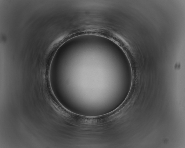 X0000097761403200803071244