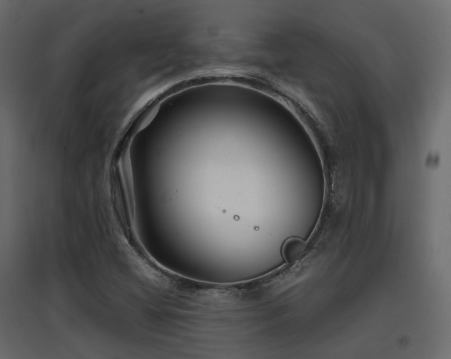 X0000097761404200803071244
