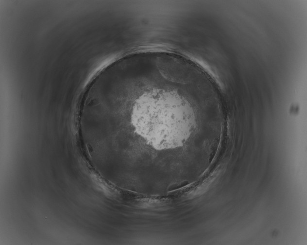 X0000097761405200803071244