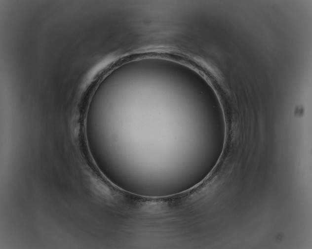 X0000097761406200803071244