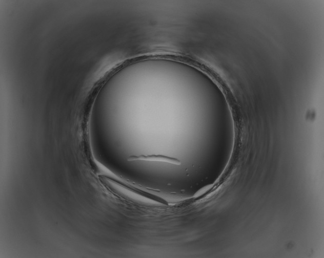 X0000097761407200803071244
