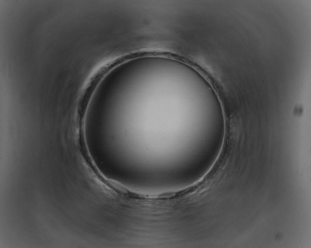 X0000097761408200803071244