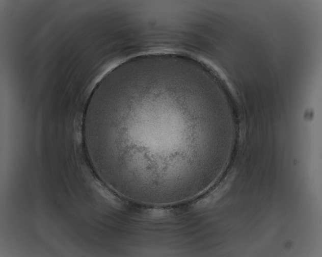 X0000097761409200803071244