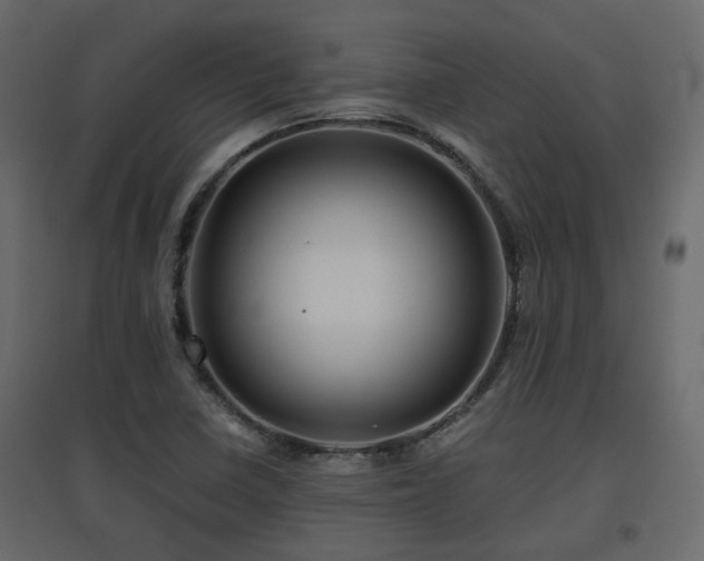 X0000097761410200803071244