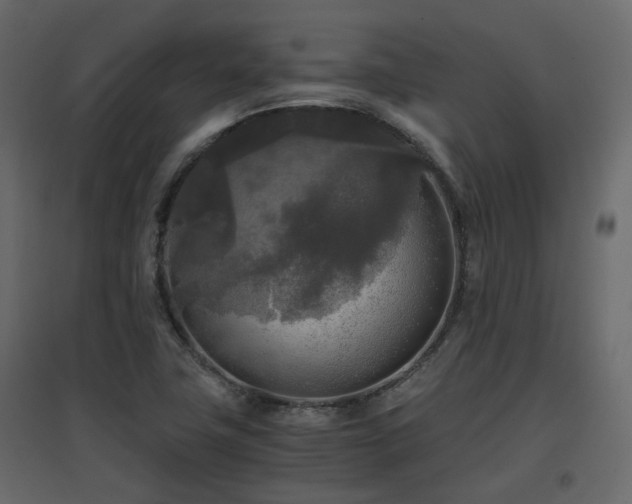 X0000097761411200803071244