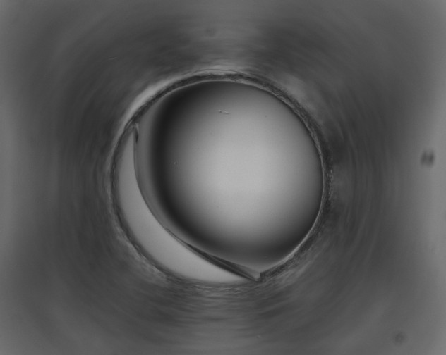 X0000097761412200803071244