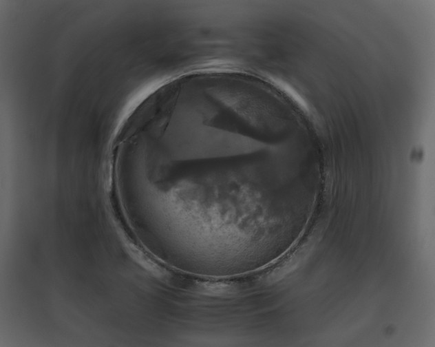 X0000097761413200803071244