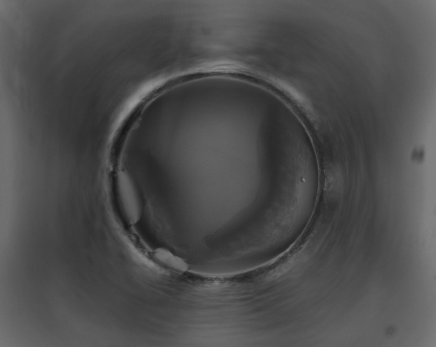 X0000097761414200803071244