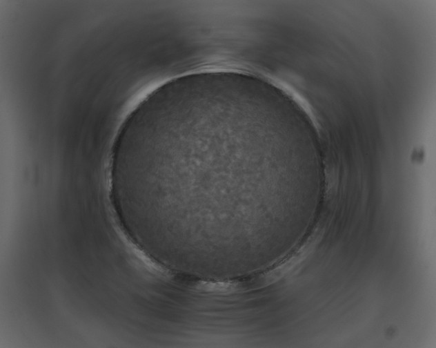 X0000097761415200803071244