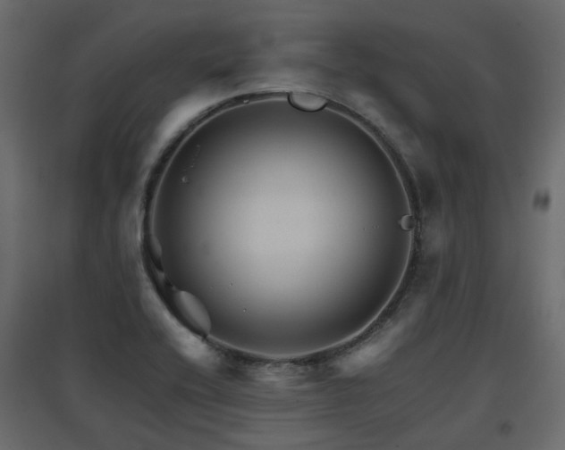 X0000097761416200803071244