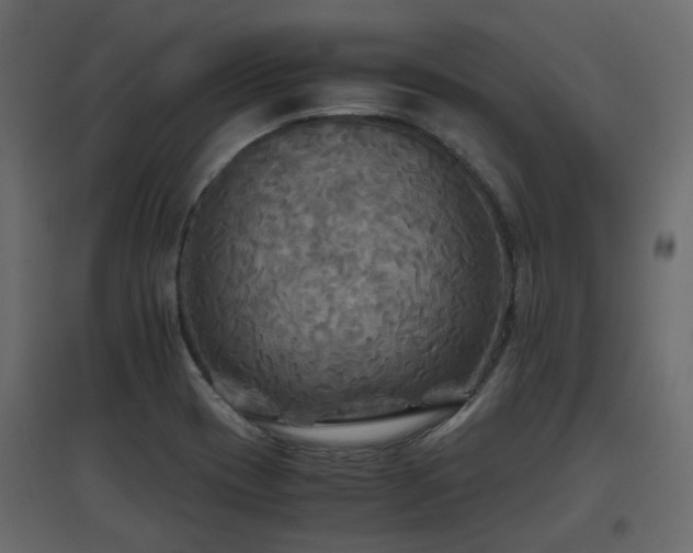X0000097761417200803071244