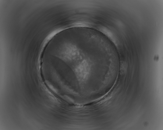 X0000097761419200803071244
