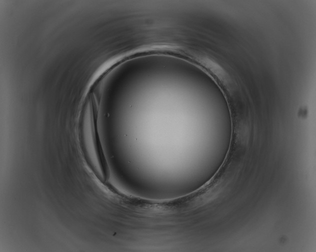 X0000097761420200803071244