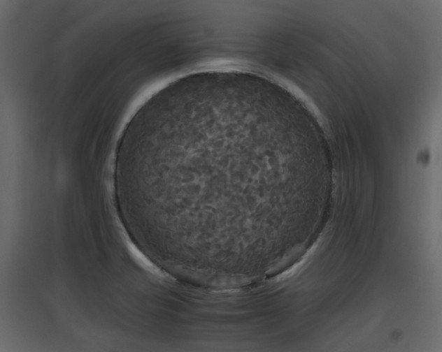 X0000097761421200803071244
