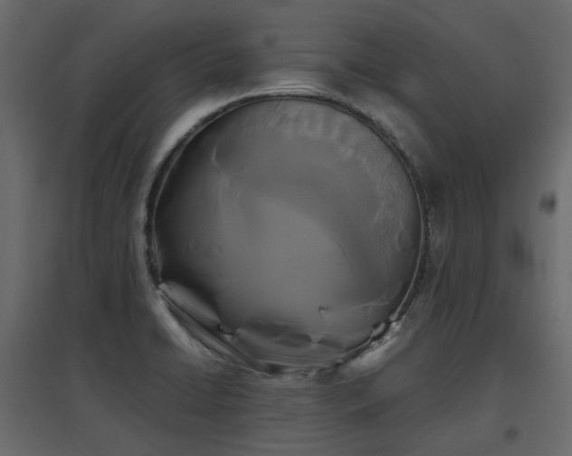 X0000097761422200803071244