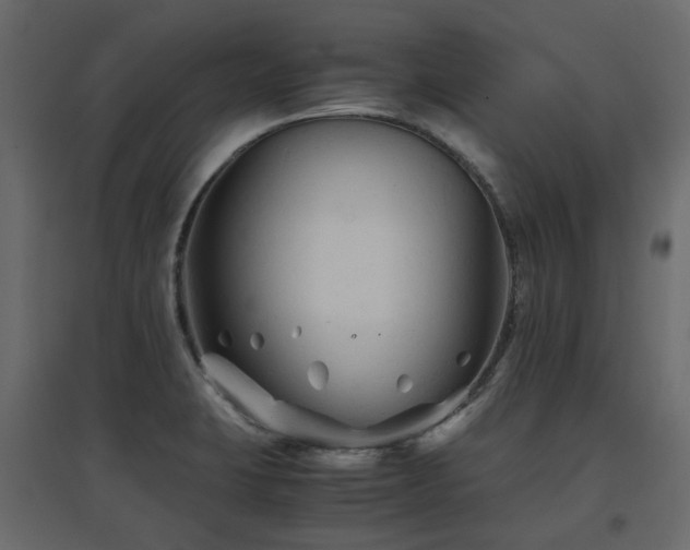 X0000097761423200803071244