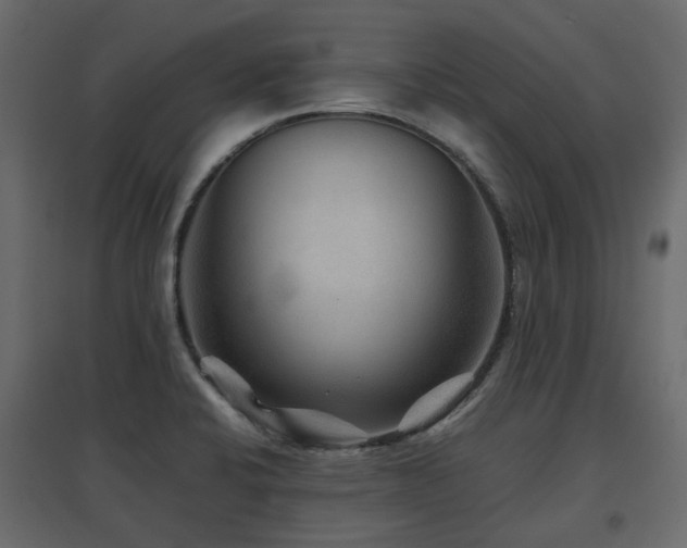 X0000097761424200803071244