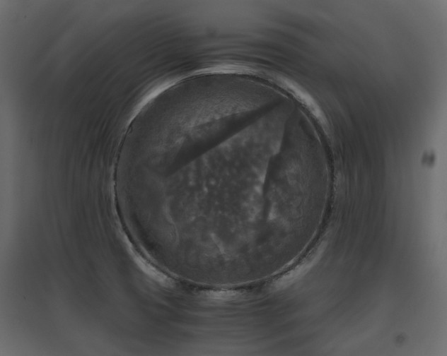 X0000097761425200803071244
