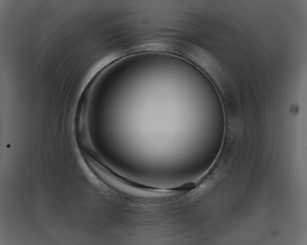 X0000097761426200803071245