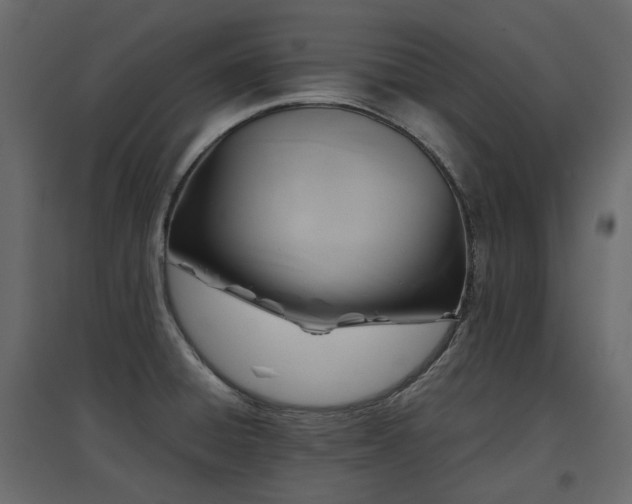 X0000097761428200803071245