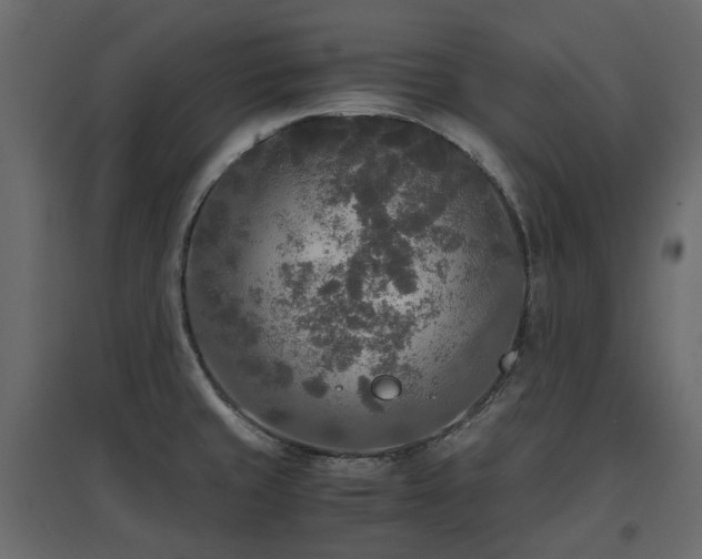 X0000097761429200803071245