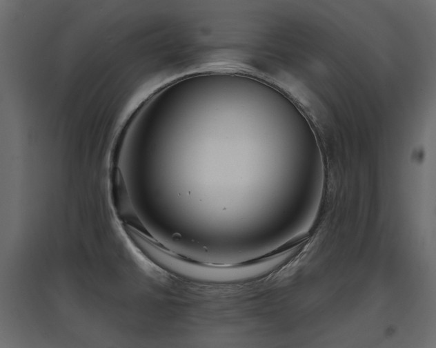 X0000097761430200803071245