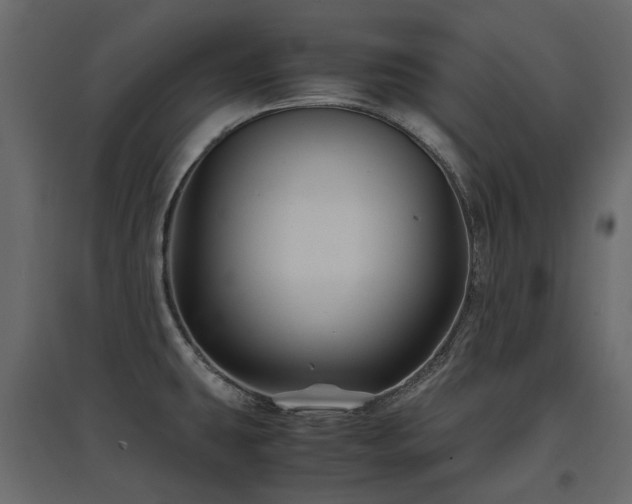 X0000097761431200803071245
