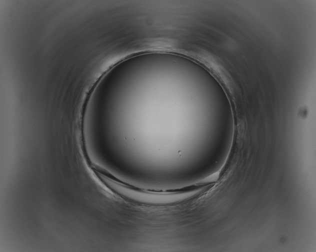 X0000097761432200803071245