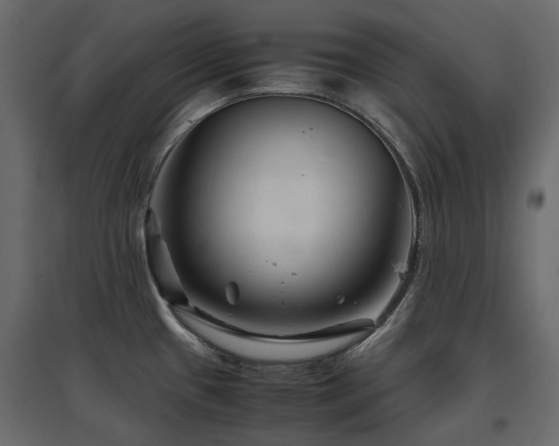 X0000097761433200803071245