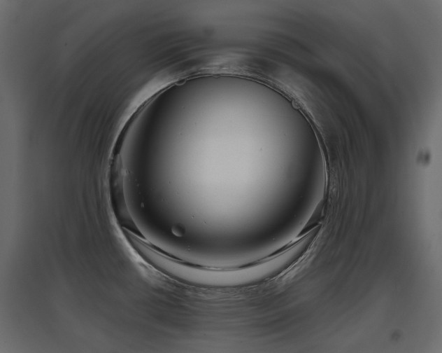 X0000097761434200803071245