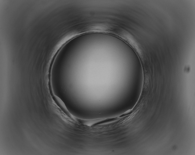 X0000097761435200803071245