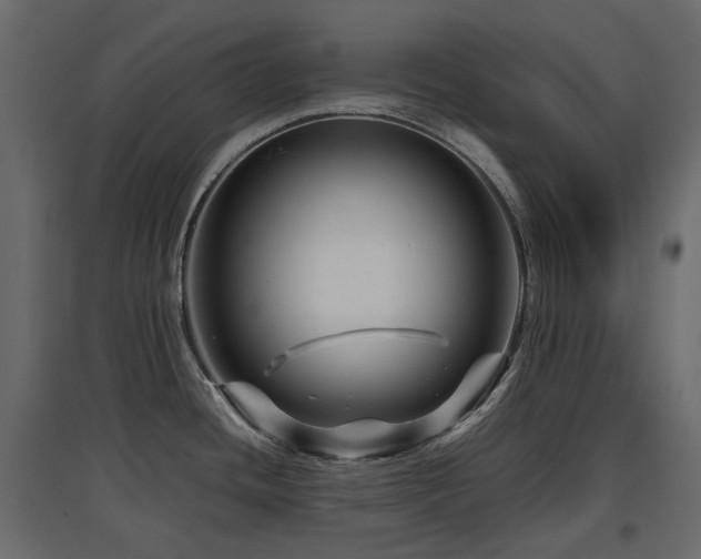 X0000097761436200803071245