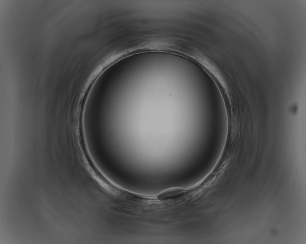 X0000097761437200803071245