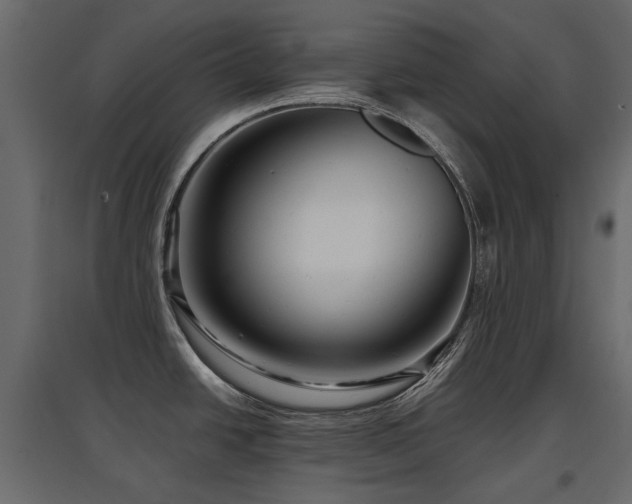X0000097761438200803071245