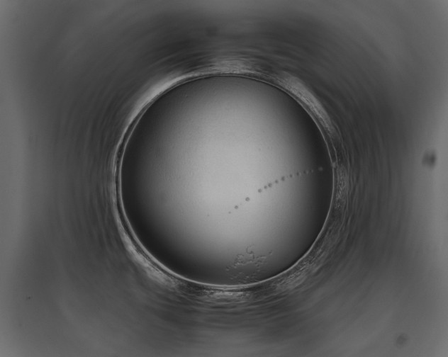 X0000097761439200803071245