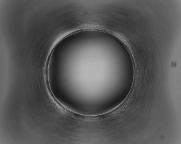 X0000097761440200803071245