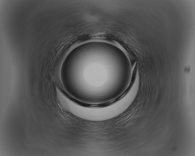 X0000097761441200803071244
