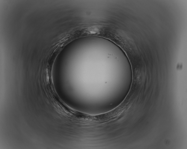 X0000097761442200803071244