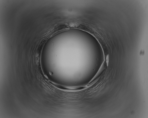 X0000097761443200803071244