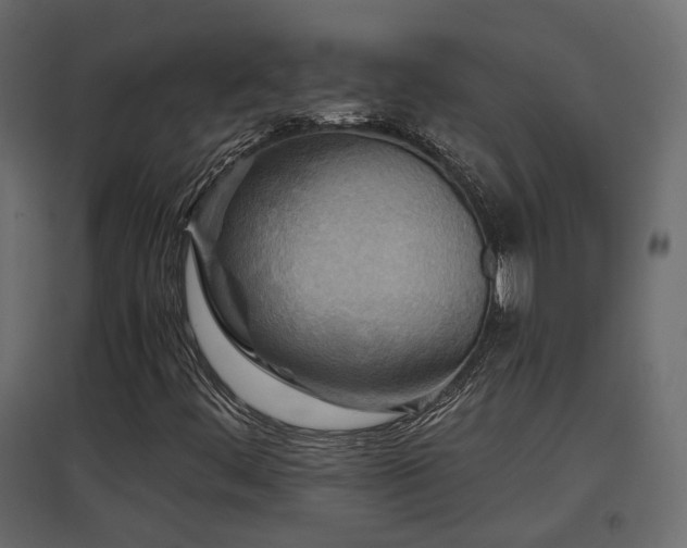 X0000097761444200803071244