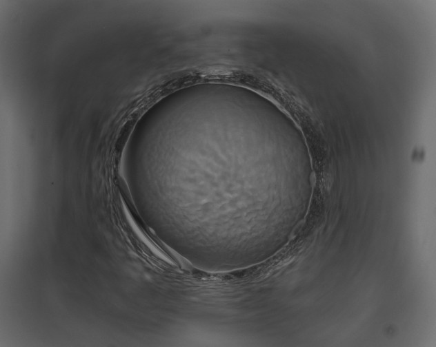X0000097761445200803071244