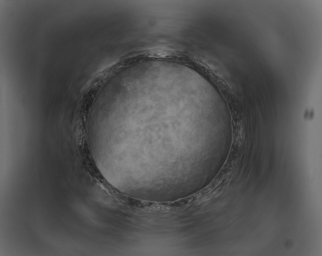 X0000097761446200803071244