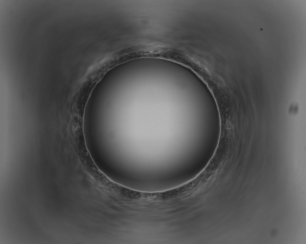 X0000097761447200803071244