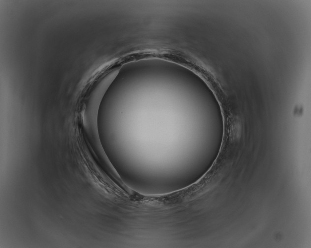 X0000097761448200803071244