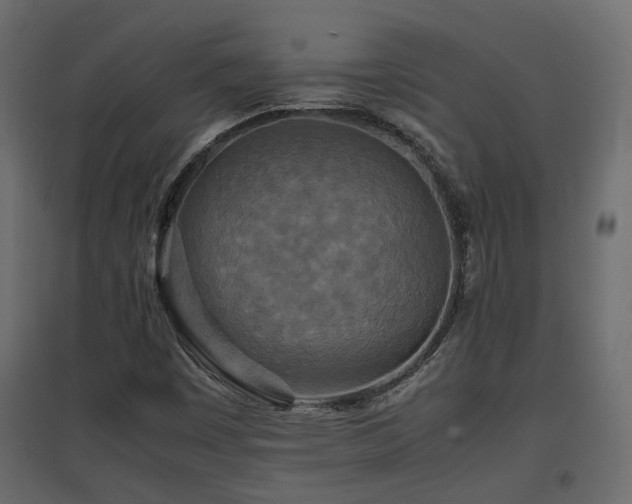 X0000097761449200803071244