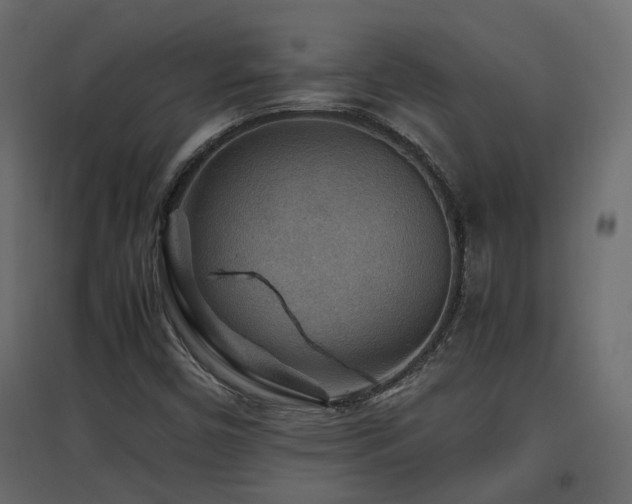 X0000097761450200803071244