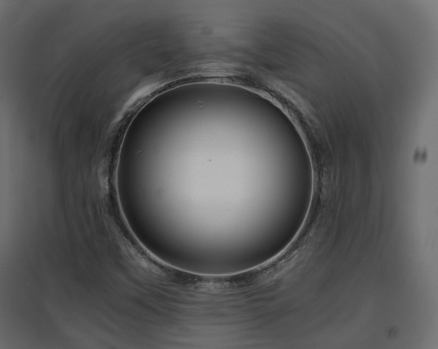 X0000097761451200803071244